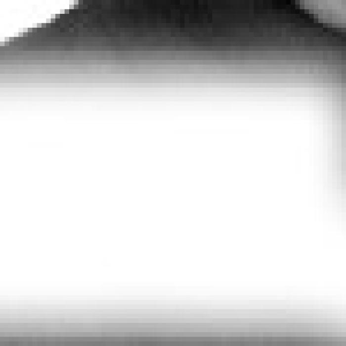 Alt Text for Image