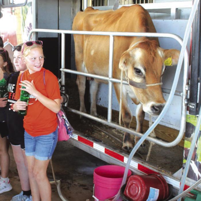 The dairy cattle mobile trailer.
