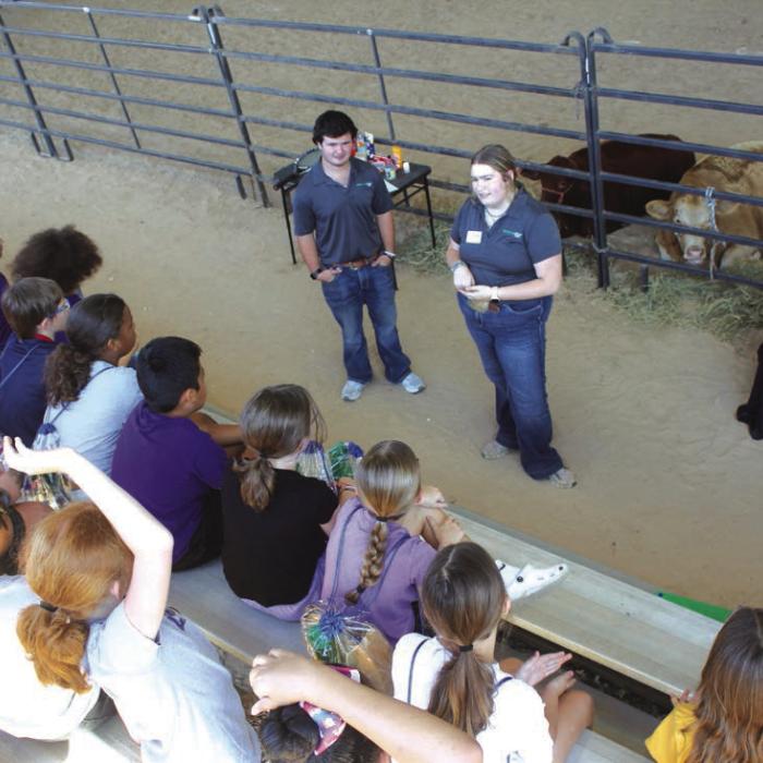 A beef cattle talk led by local high school students.