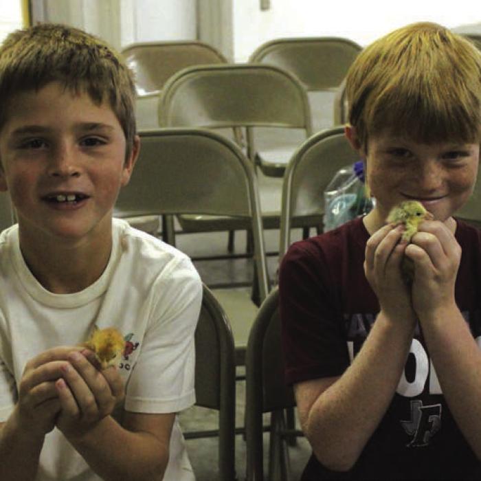 Students got to hold baby chicks at the conclusion of the poultry session.
