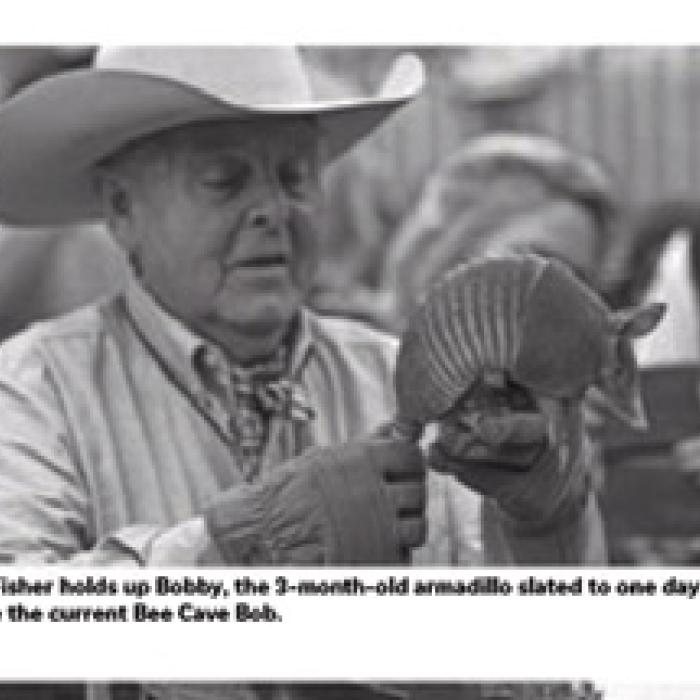 Armadillo Predicts Early Spring