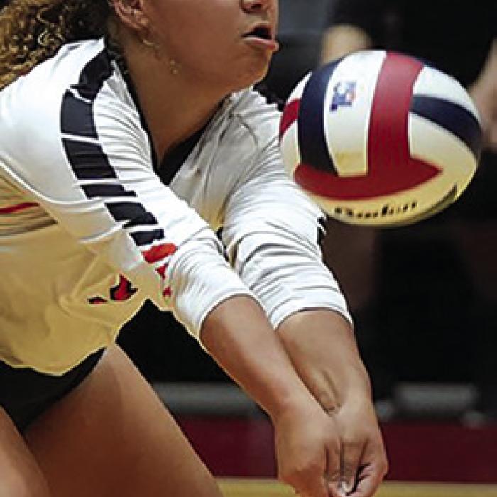 Lady Horns Fall to Iola