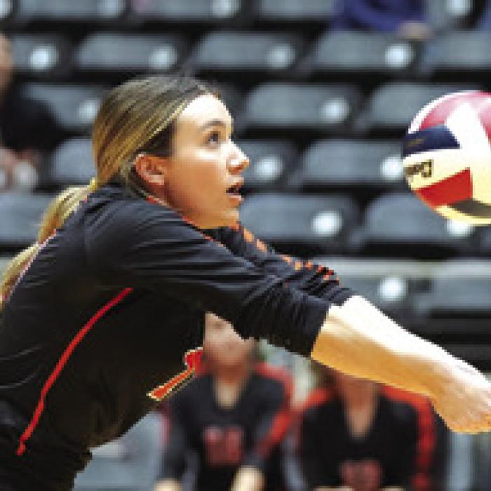 Lady Horns Fall to Iola