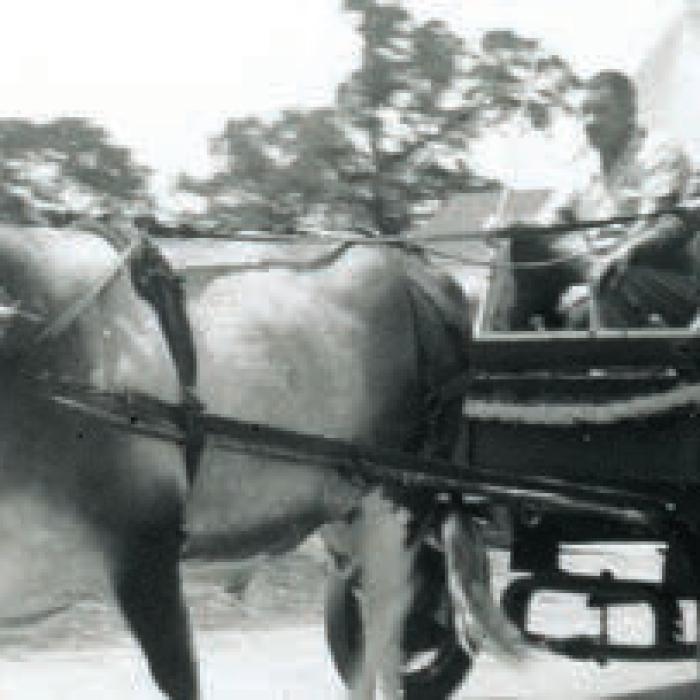 Remembering the Famous ‘Old Blue’