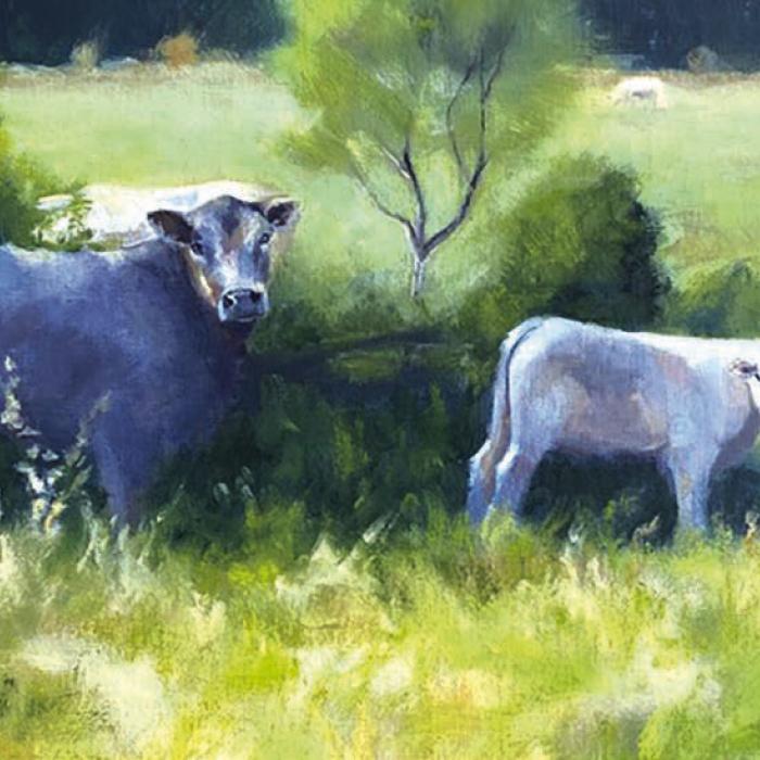 Local Landscape Images on Canvas