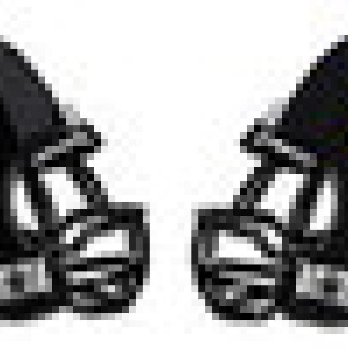 Alt Text for Image