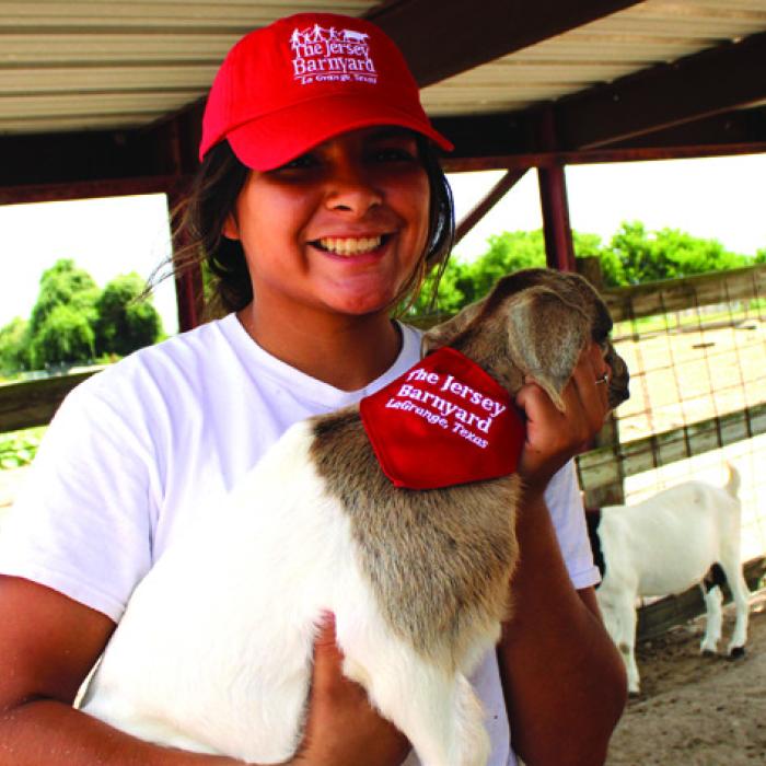 The hot temperatures don’t just have humans seeking cooler climates. The animals at The Jersey Barnyard outside seek out the shade too. Above, employee Xeriah Jiminez holds one of the baby goats recently born at the farm under the cover of the barn. Below, the Jersey cows, goats and guinea fowl all seek out shade and water during the heat of a recent afternoon.