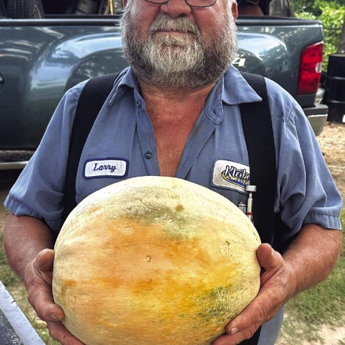 Larry Herbrich of La Grange grew this monster cantaloupe in the backyard of his place across from Kort’s Korner. He picked it last week. It weighs in at a whopping 12 pounds, much larger than most of the others he’s grown. Herbrich said most of his cantaloupes grown to 3-3.5 pounds, while he’s had some get as big as eight pounds – but he’s never had one like this before. Photo by Daniel Wick