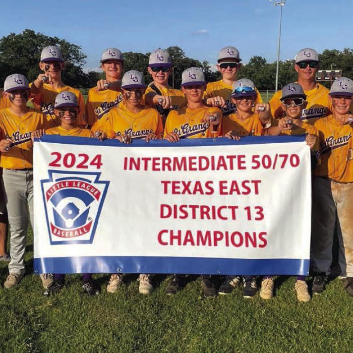 Little League District Champs