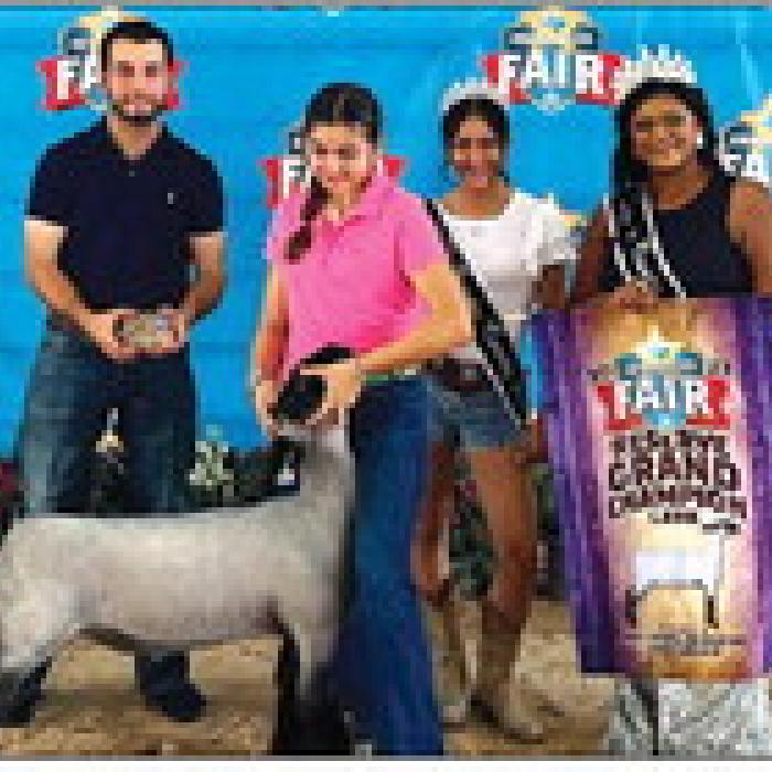 Fair Lamb Show