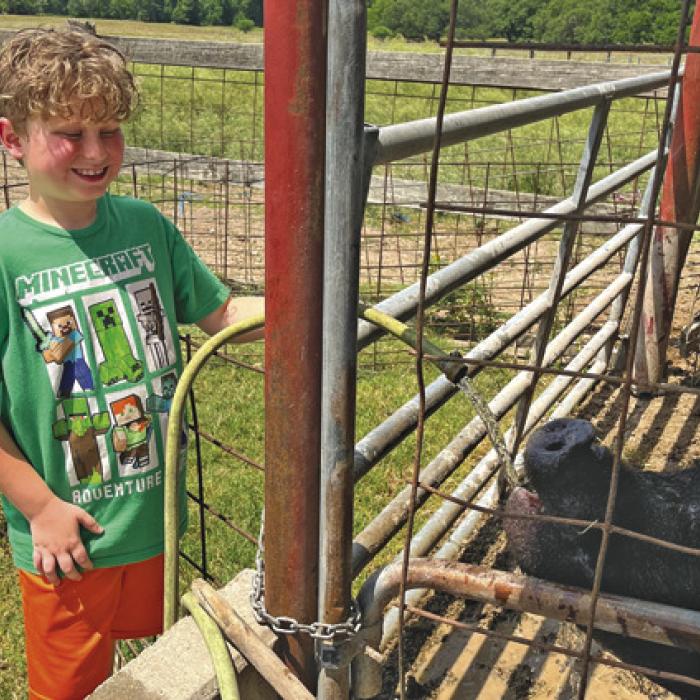 Keeping Cool on the Farm