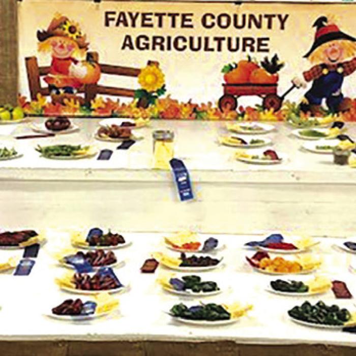 The fair agriculture entries from a previous year.