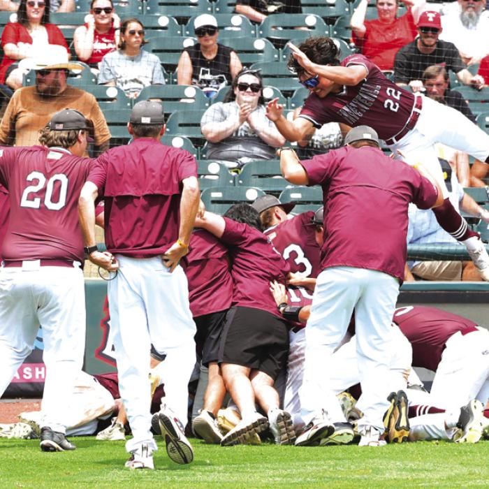The members of the Fayetteville Lions pile on top of one another after Dylan Henneke caught the final out of Saturday’s title game. Photo by Scott Coleman
