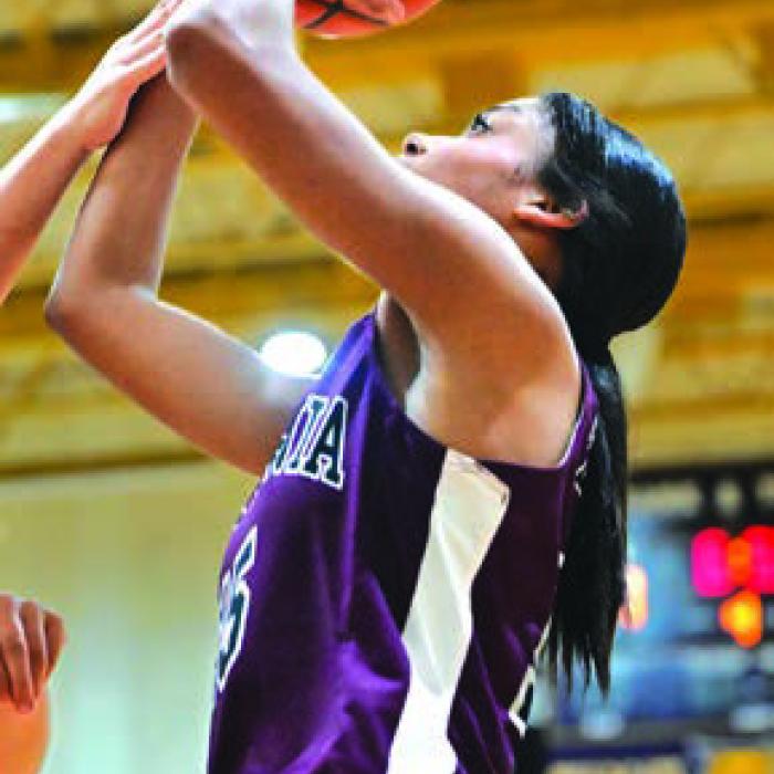 High School Basketball Roundup
