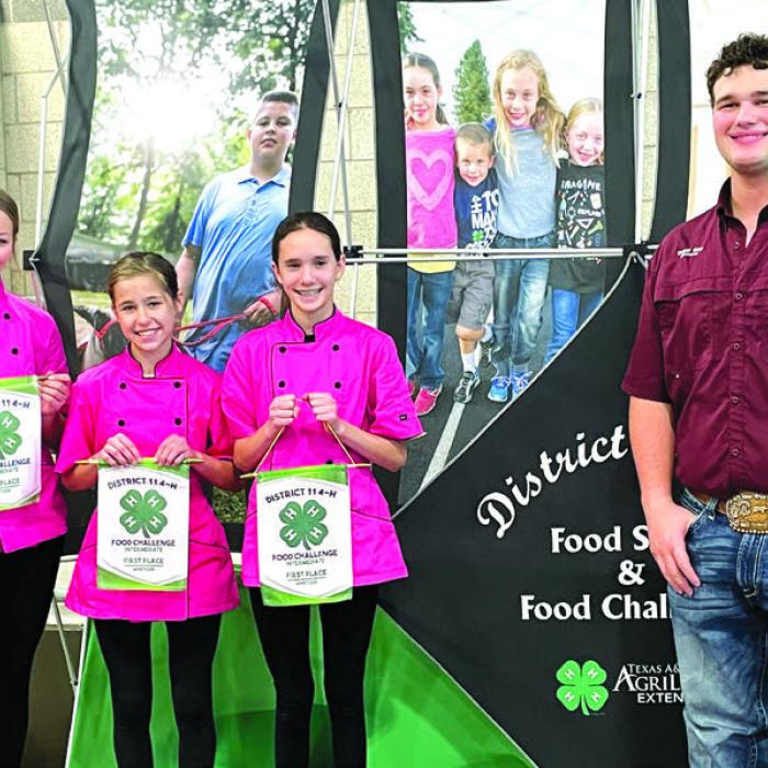 Beef Masters (Intermediate Appetizer)– Kaylyn Beseda, Emory Malota, Kloey Noska, and District 11 4-H Officer.