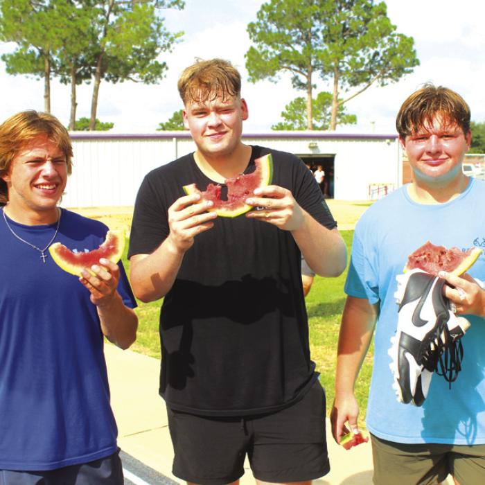 A Good Morning for Watermelon