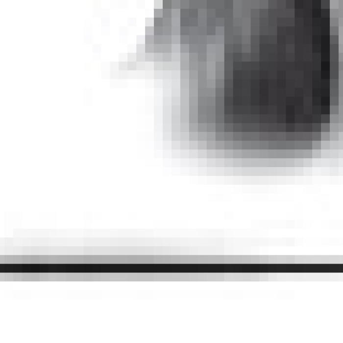 Alt Text for Image