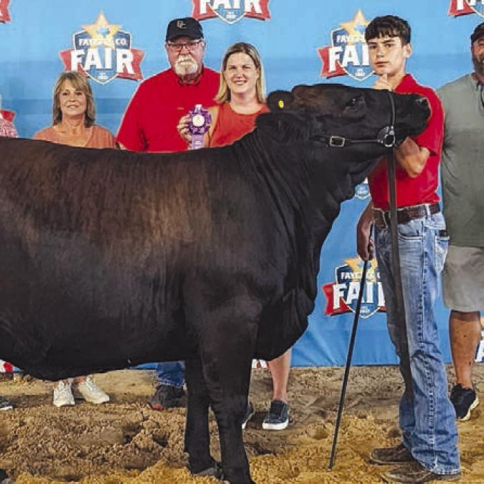 Champion Halter Heifer - Billy and Vickie Ashorn, Sharon and Freddie Behnke, Sara, Luke, Bryn, and Kate Behnke.