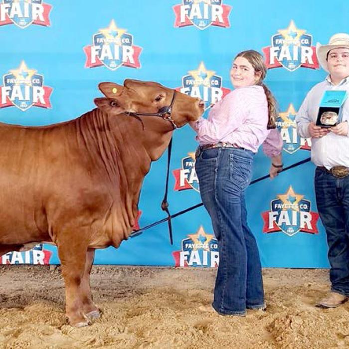 Reserve Champion Halter Heifer - Brandon, Rheagan, Rilan, and Carissa Karisch and Steven Karisch.