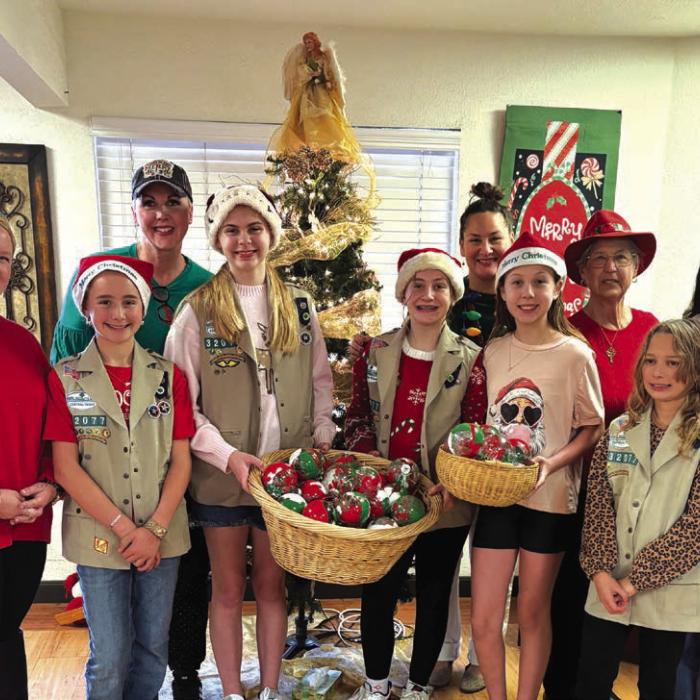 Girl Scouts Share Holiday Cheer at Care Inn