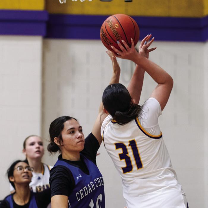 Faith Greenwood (31) goes for a layup against Cedar Creek in tournament action Friday.
