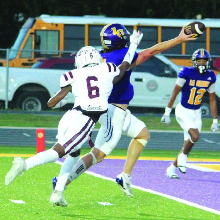 La Grange’s quarterback Clayton Cooper stretches the ball over the goal line during one of his three touchdown runs Friday.