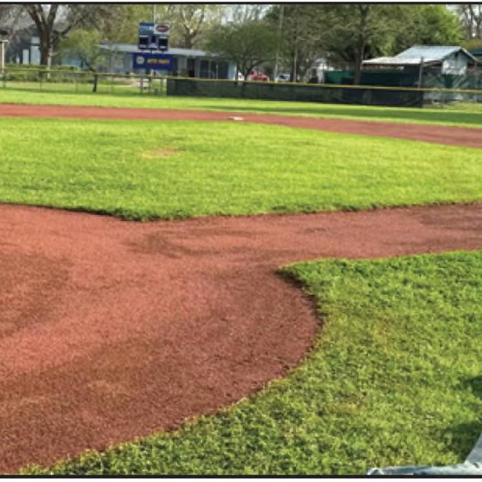 Little League Fields Get Big Upgrade