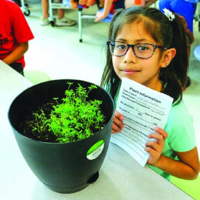 Second Graders Show Off Plants at Annual Show