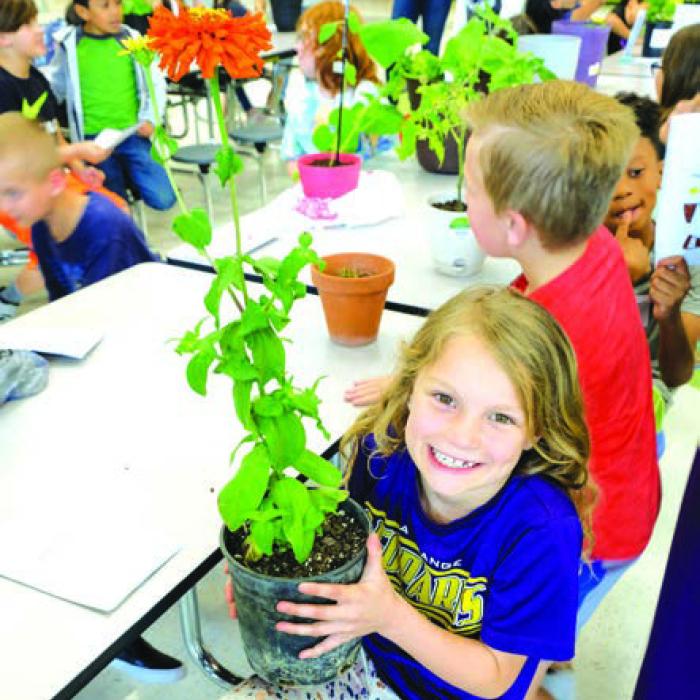 Second Graders Show Off Plants at Annual Show