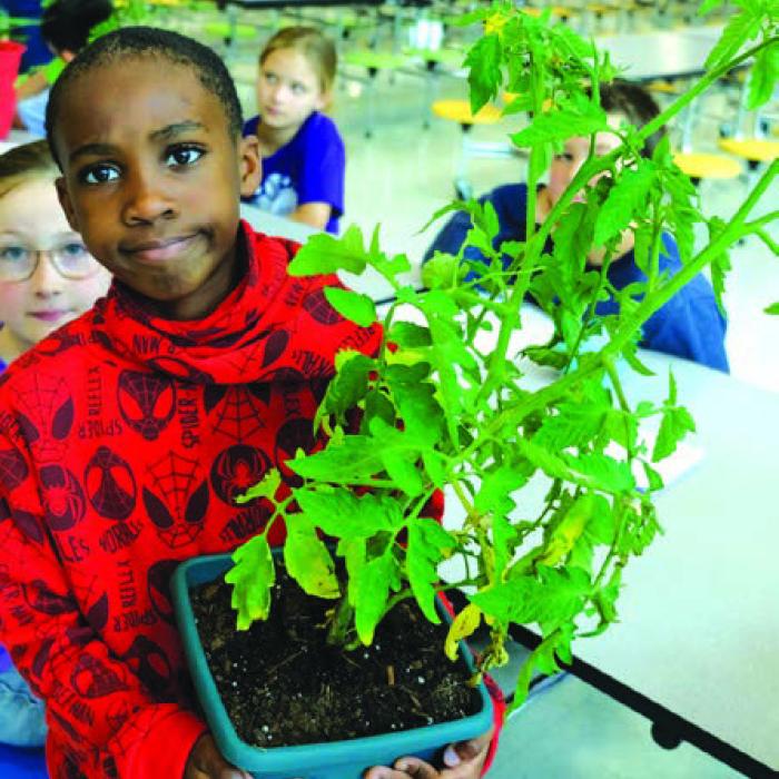 Second Graders Show Off Plants at Annual Show
