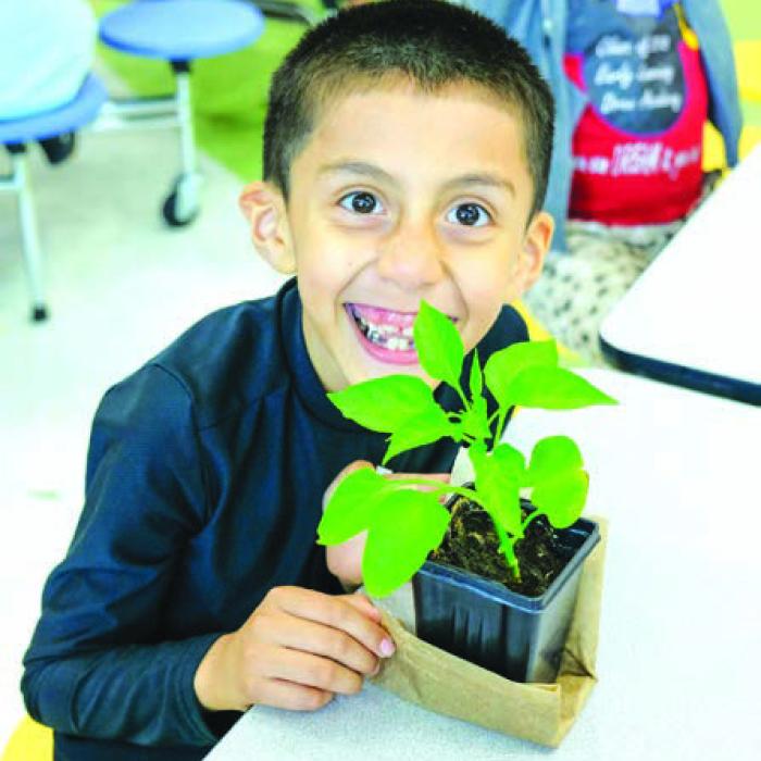 Second Graders Show Off Plants at Annual Show