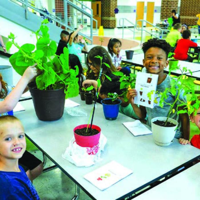 Second Graders Show Off Plants at Annual Show