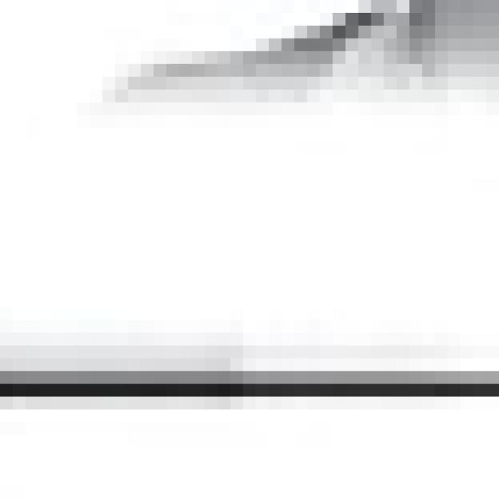 Alt Text for Image