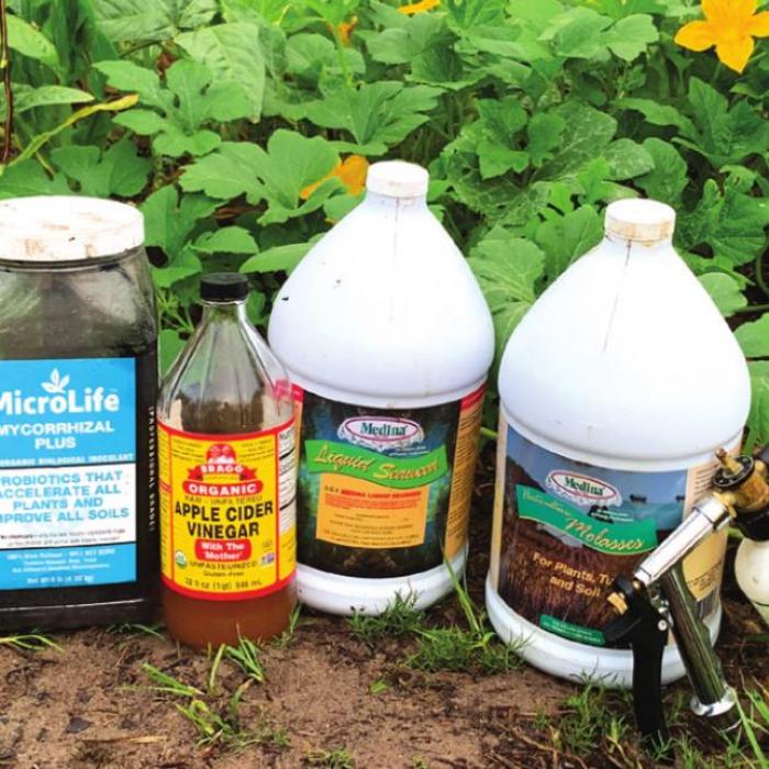 Essential organic gardening supplies: (from left) Mycorrhizal Plus by MicroLife, apple cider vinegar, liquid seaweed, liquid molasses and a hose-end sprayer to apply the vinegar, seaweed and molasses. In case you’re wondering, they’re hanging out next to my three sisters bed, which is growing Thai yard-long beans, a popcorn variety called “Strawberry,” and “Tatume” squash. Photo by Andy Behlen