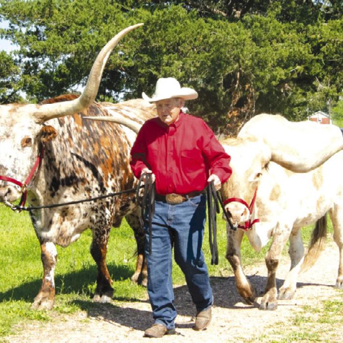 Iconic local cowboy Ralph Fisher is not only the cover subject of Elaine Thomas’ new book (which will be released at The Record’s 103rd anniversary party next Friday, Nov. 1), but Fisher is also bringing two of his legendary longhorns to the party for people to take photos with. Full party details are on the ad to the right. Photo by Diane Mueller