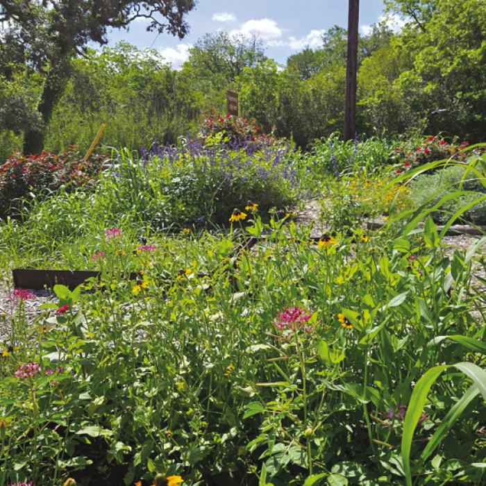 Pollinator garden and raised beds at Fayetteville City Park.