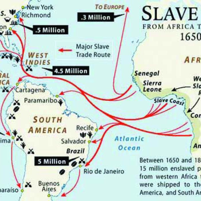 How Did My African-American Ancestors Get Here?
