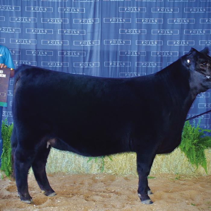 Fayette County Jr. Livestock Show Heifer and Ag Mechanics Winners