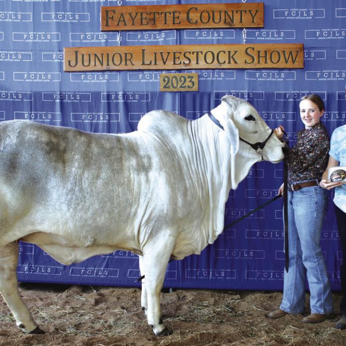 Fayette County Jr. Livestock Show Heifer and Ag Mechanics Winners