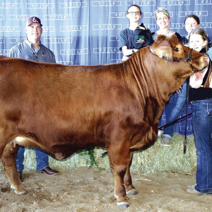 Fayette County Jr. Livestock Show Heifer and Ag Mechanics Winners