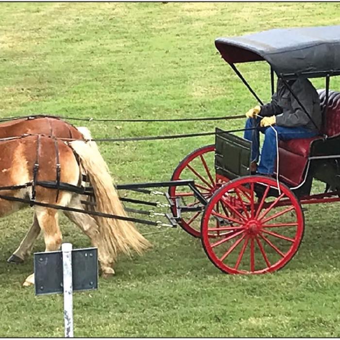 Celebrate Christmas in Northern Fayette Saturday