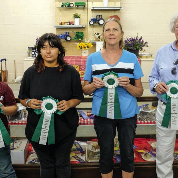 Fayette County Fair Best of Department Winners
