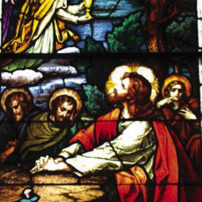 First Sorrowful Mystery: The Agony in the Garden