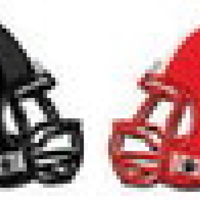 Alt Text for Image