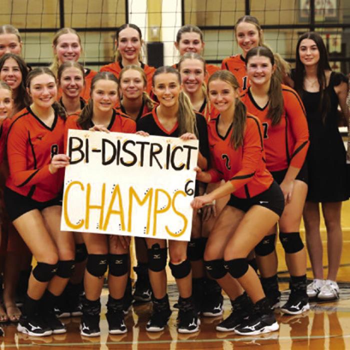 The members of the Schulenburg volleyball team celebrate after their first round win Thursday in Seguin over Yorktown.