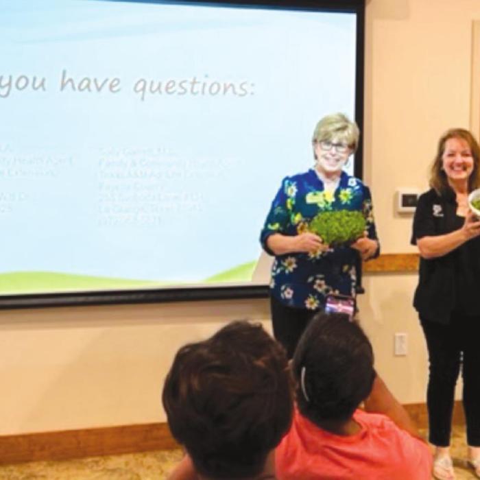 Multi-County Child Care Conference Held