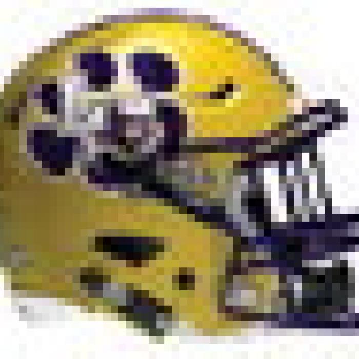 Alt Text for Image