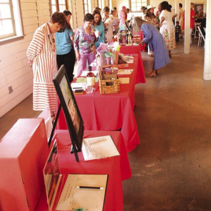 More Models and Images from Saturday’s Fashion Fling in Round Top Benefitting Hospice Brazos Valley