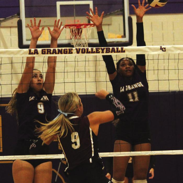 Lady Leps Hammer Lockhart