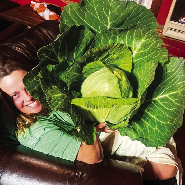 A Pot of Cabbage for the New Year